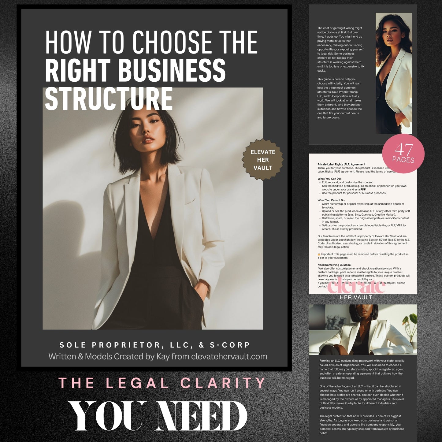 How to Choose the Right Business Structure preview page with bold headline and modern layout – www.elevatehervault.com