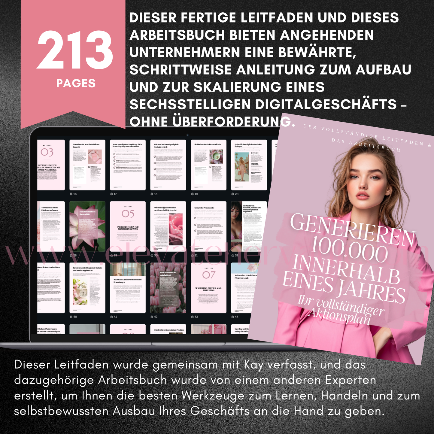 Verdienen Sie innerhalb eines Jahres 100.000 online – PLR/MRR-Online-Business-Guide mit Weiterverkaufsrechten