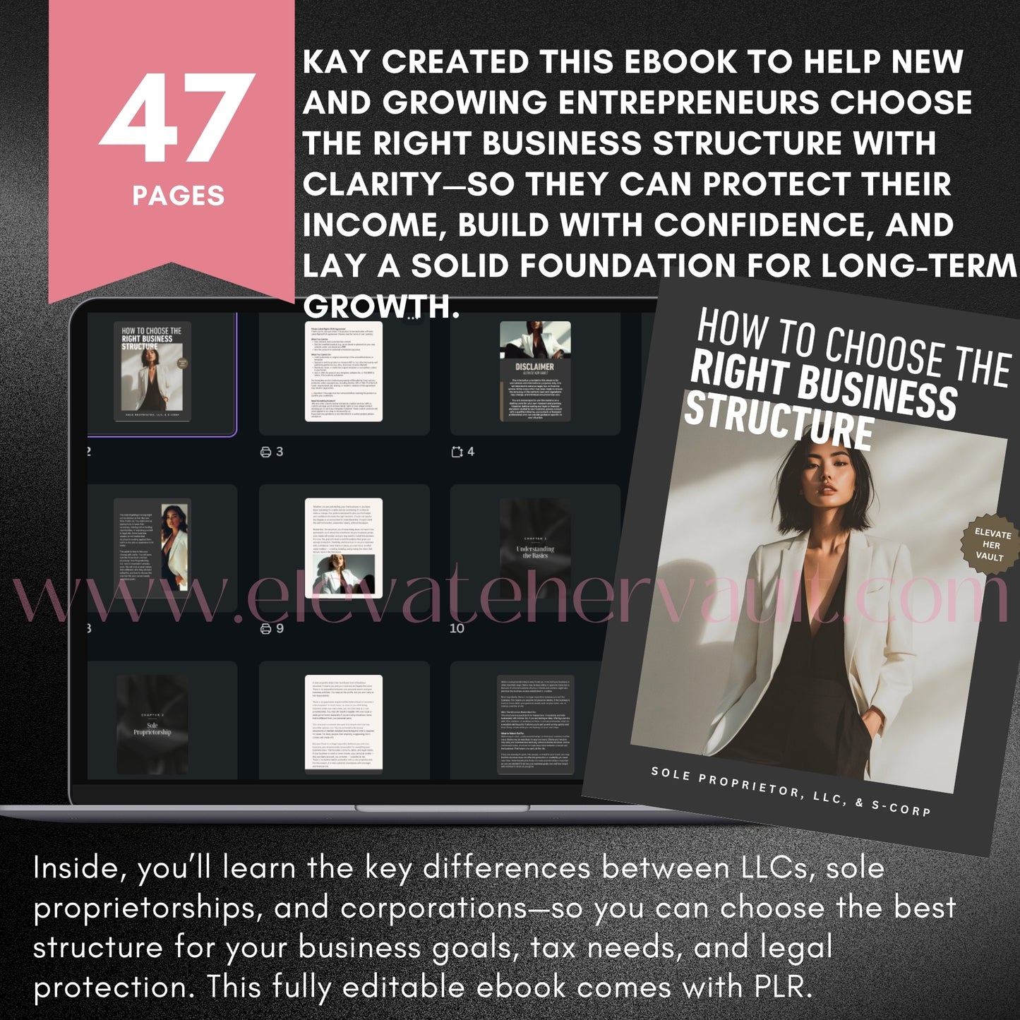 47-page breakdown grid showing business types, scenarios, and visual workbook elements – www.elevatehervault.com