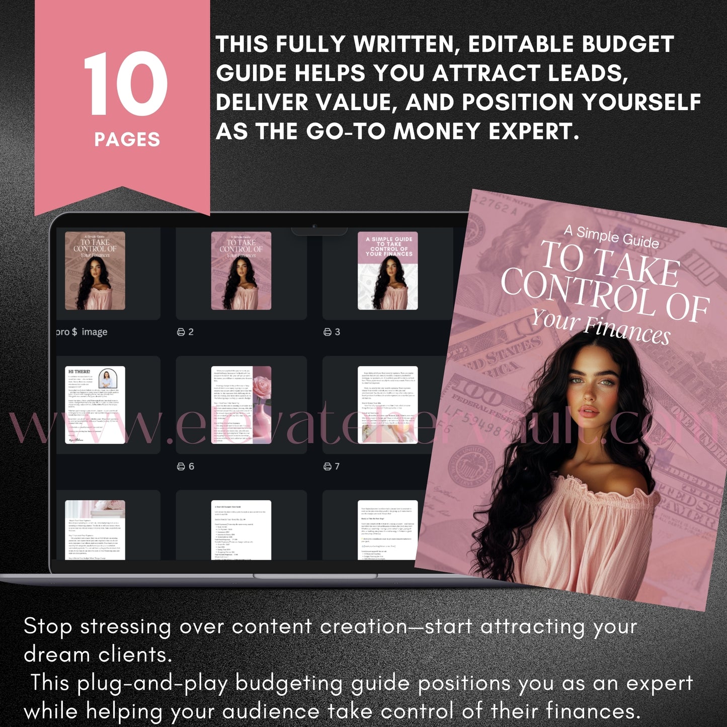 Budgeting Lead Magnet for Financial Coaches – Canva Template Finance Guide to Grow Your Email List